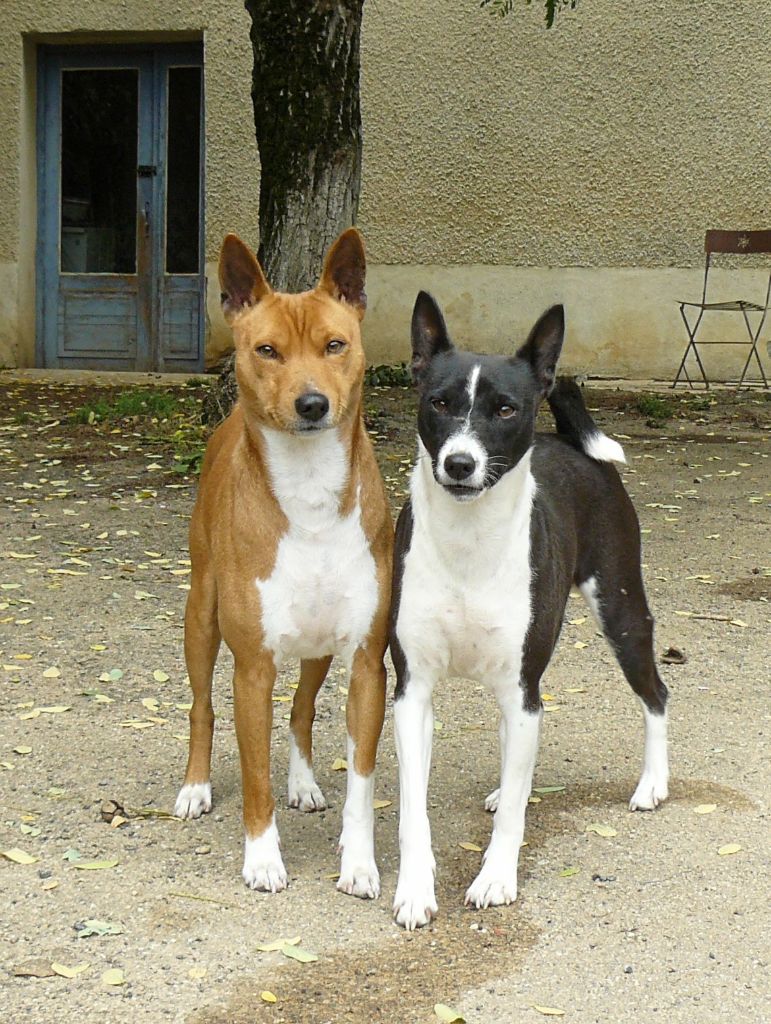 Des bébés à venir